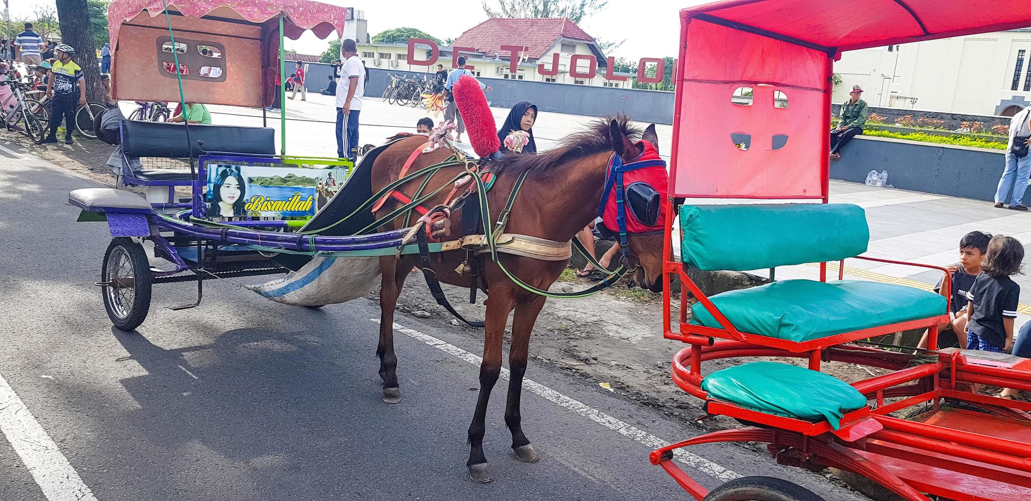 Surakarta, Indonesia, January 8, 2023 Dokar Wisata or chariot joyride in sunday car free day surakarta photo