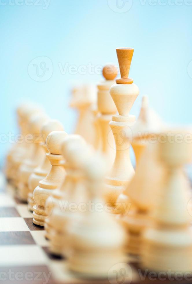 Chess pieces on the board photo