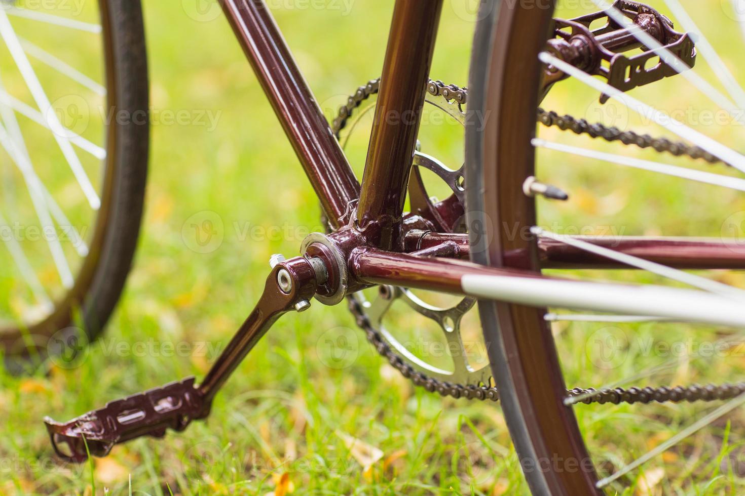 Stylish bicycle on grass photo