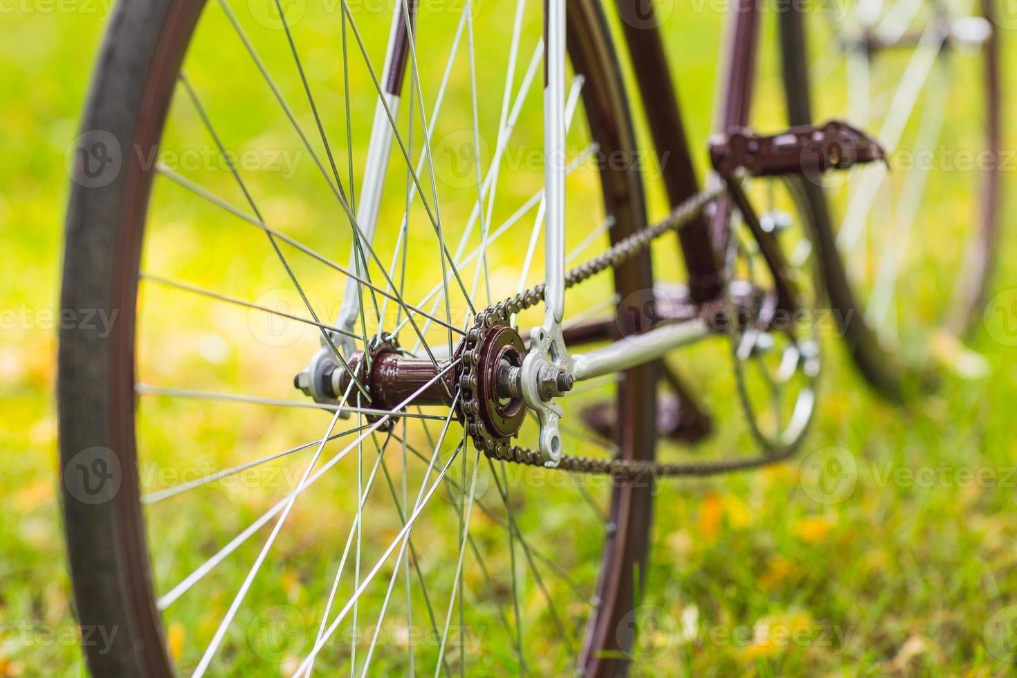 Stylish bicycle on grass photo