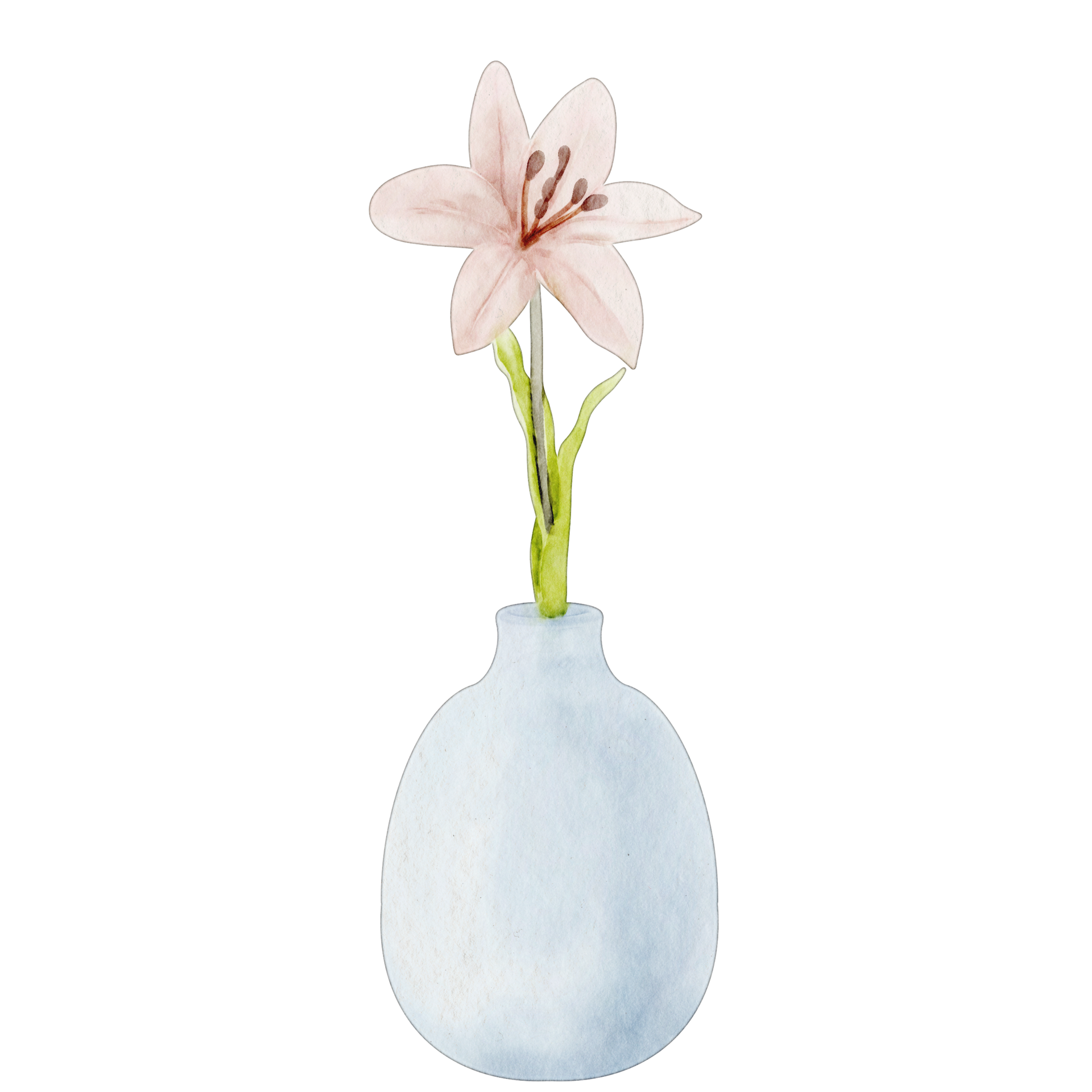 watercolor flower vase 21048226 PNG