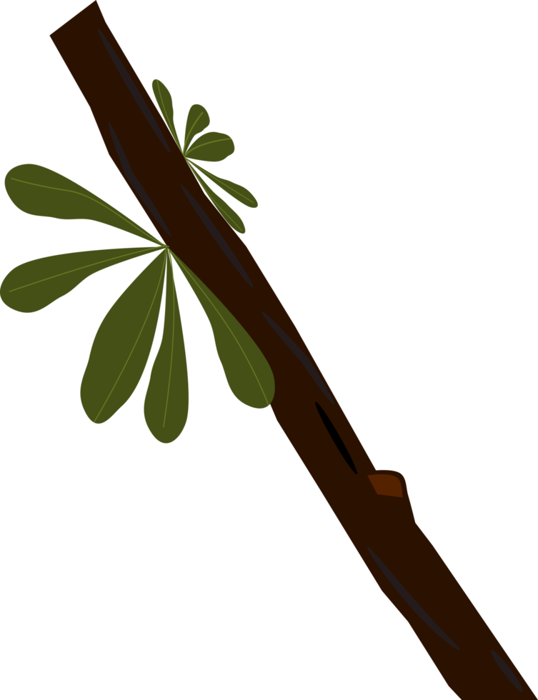 Cartoon tree branches with green leaves isolated on transparent background sticker. Free PNG. png