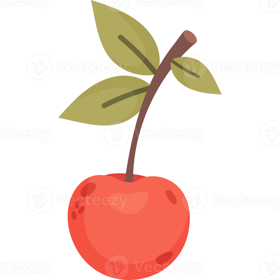 One cherry. Ripe fruit with leaves png