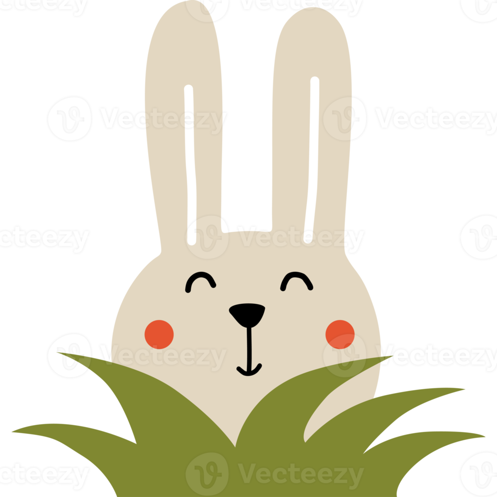 Funny rabbit in grass png