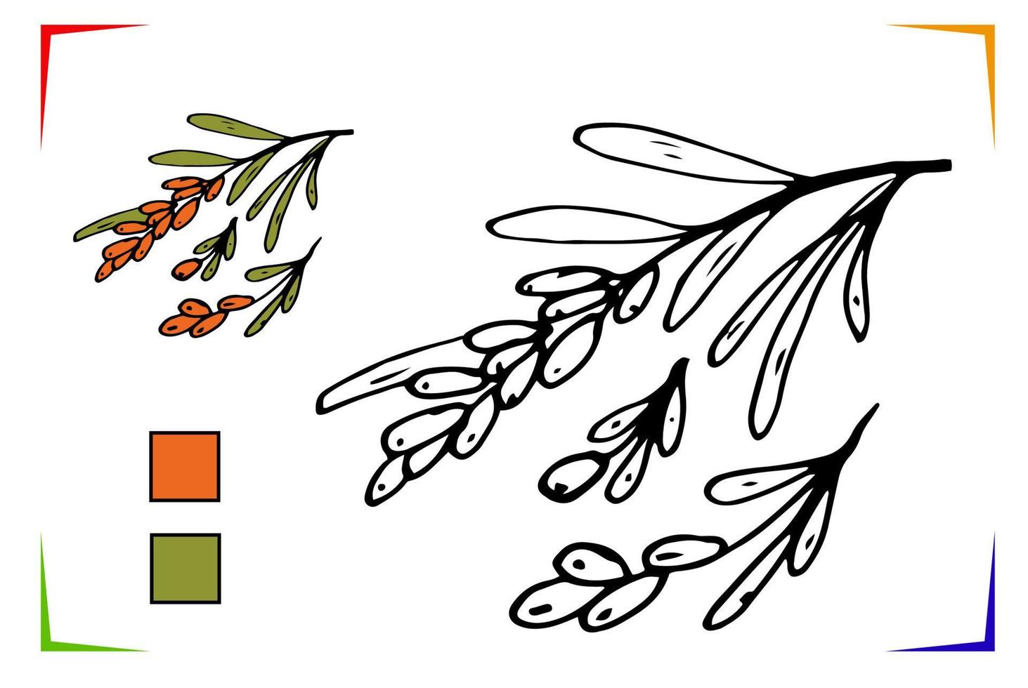 Sea buckthorn Coloring Page. Vector Educational worksheet colored by sample. Paint game. Elements for coloring book, page, printing, design illustrations in the style of outline for kids