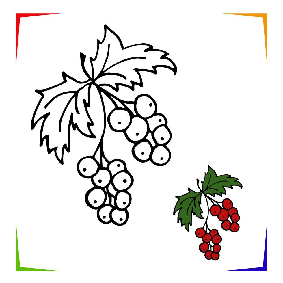 Currant Coloring Page. Vector Educational worksheet colored by sample. Paint game preschool kids