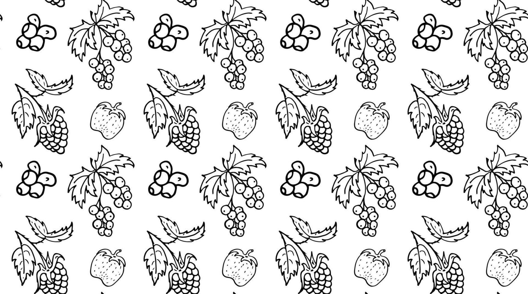 Seamless pattern strawberries, red currants, blueberries, raspberries. Black and white doodle vector
