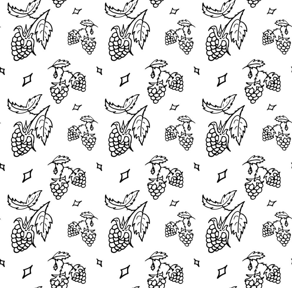 Seamless pattern raspberry, blackberry. Berry Black and white vector for fashion, textile, cover.