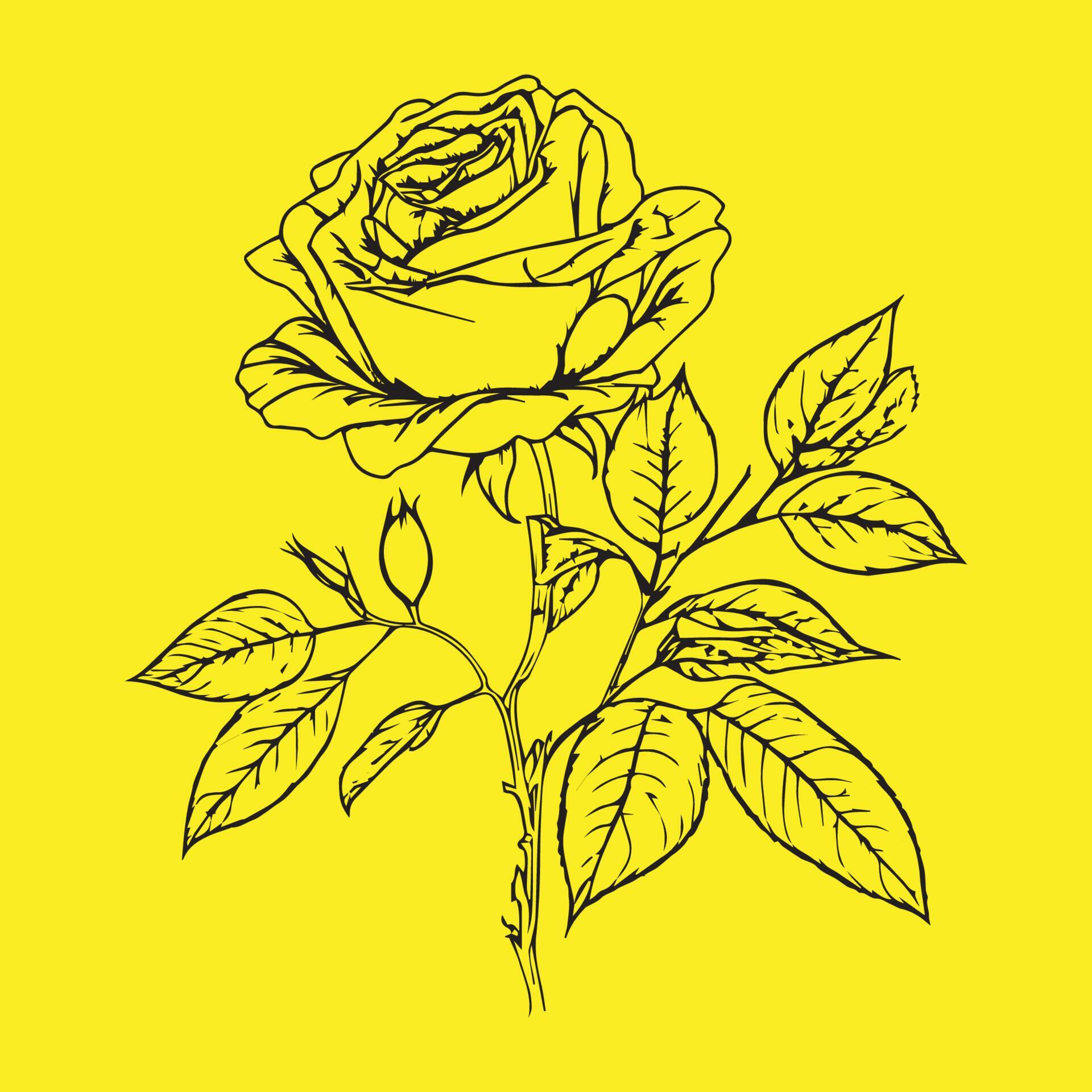 Rose Hand Drawing Sketch Black Outline Vector Illustration Isolated on