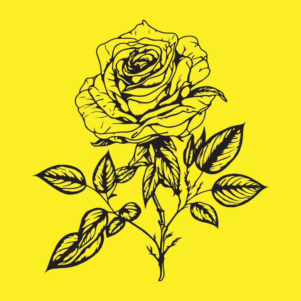 High Detailed Rose Flower Black Outline vector illustration isolated on yellow background, Rose hand drawing sketch.