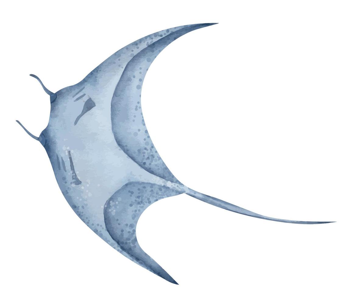 rayo pez. acuarela mano dibujado ilustración de mantarraya en aislado antecedentes. gigante mar diablo en pastel azul colores. dibujo de submarino marina tropical salvaje animal. bosquejo de oceánico raya vector