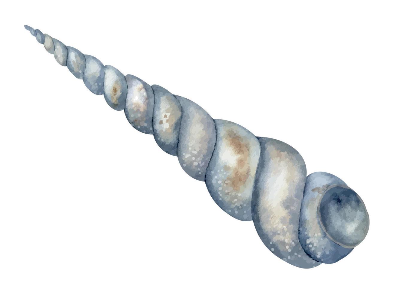 Watercolor spiral Seashell on isolated background. Hand drawn illustration of Sea Shell for design in oceanic style. Drawing of Cockleshell. Sketch of underwater fauna in pastel blue colors for icon vector
