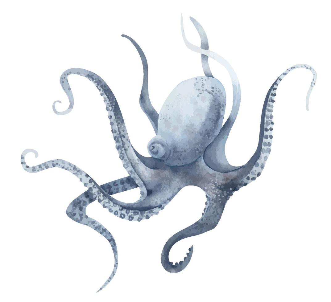 acuarela pulpo en pastel azul colores en aislado antecedentes. mano dibujado ilustración de salvaje submarino animal con tentáculos marina o Oceano submarino vida. vistoso dibujo en realista estilo vector