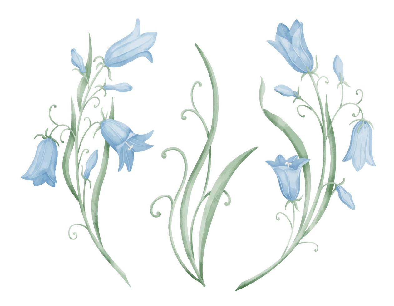 Watercolor Blue Bellflowers. Hand drawn illustration of Bluebell Flowers on isolated background in cute pastel colors. Botanical set for greeting cards or wedding invitations. Campanula clipart vector