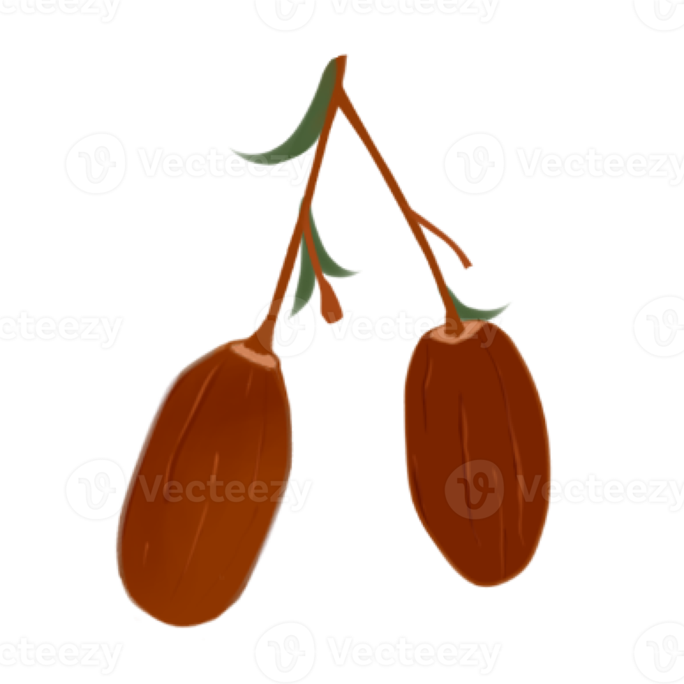 Sprig of Dates png