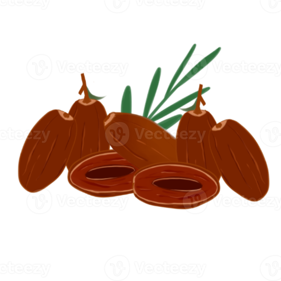 datas fruta ilustração png