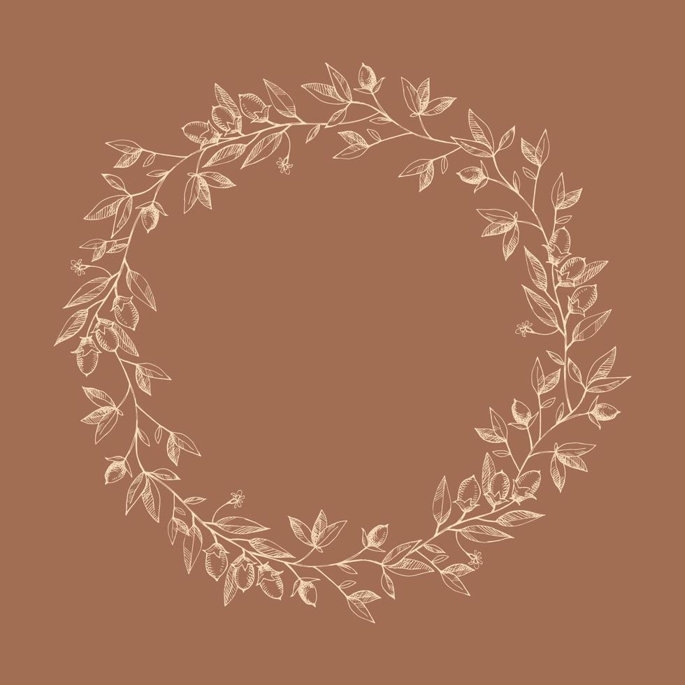 Wreath frame with cocoa branch. Floral background. A bunch of cocoa beans, Harvest cocoa fruits, symbol. The branches are drawn by hand. Ornament for label, logo, emblem, postcard. Design element vector