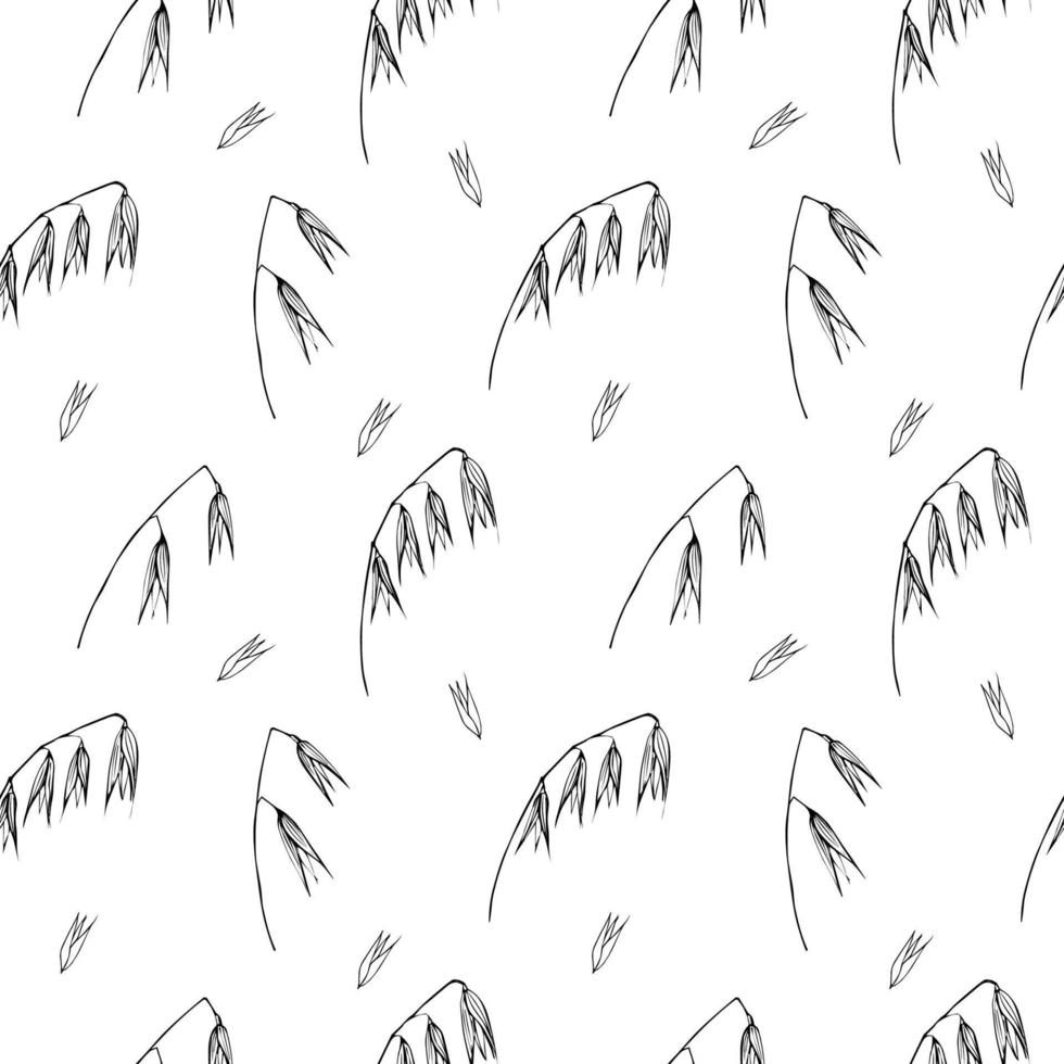 Cute seamless repeating pattern with ears of oats on a white background. Floral ornament with an ear of oats, floral motif.Ornament in a minimalist style.Drawn by hand.Vector vector