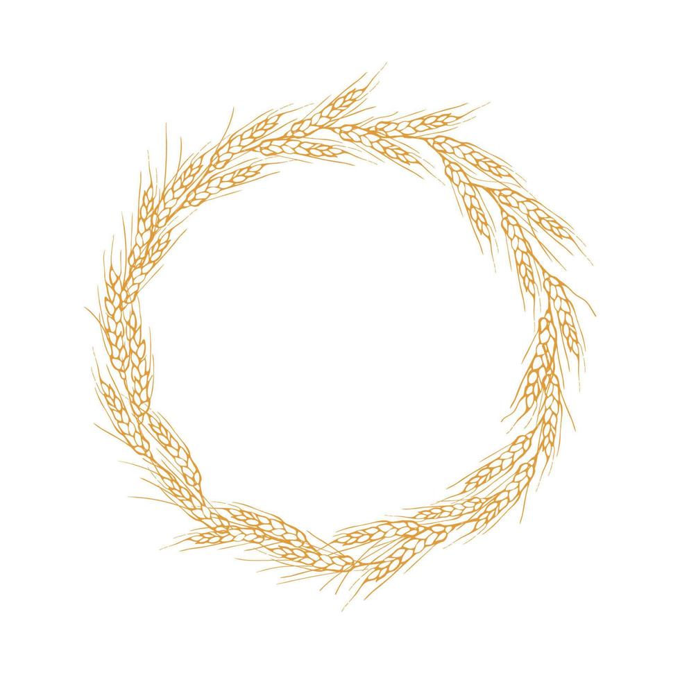 Wreath frame from ears of wheat.A bunch of ears of wheat,dried whole grains.Cereal harvest,agriculture,organic farming,healthy food symbol.Ears of wheat hand drawn.Design element. Isolated background vector