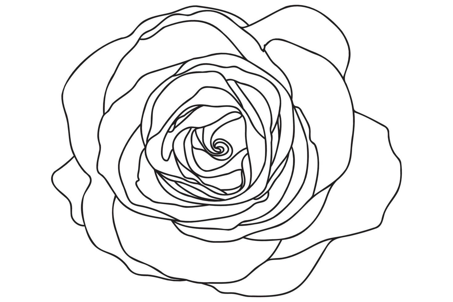 a single rose is drawn with a black outline, it is intended for tattoo, printing, cards, fabric printing, March 8, Valentine, label, logo and other occasions. vector