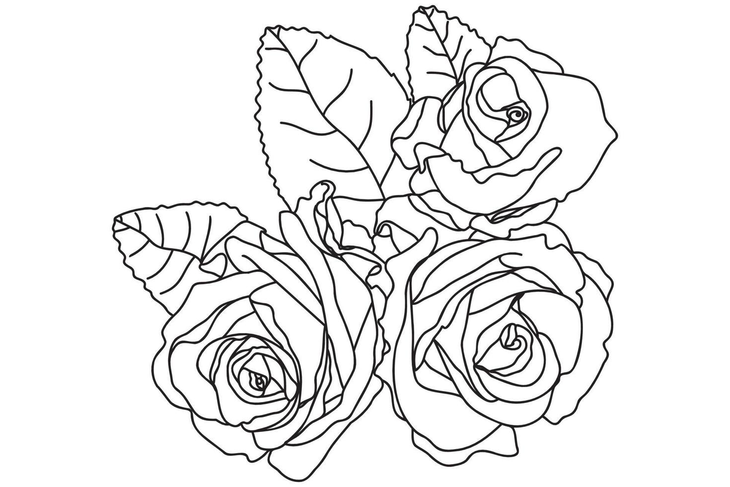 Roses with leaves black and white, intended for postcards, March 8, for Valentine vector