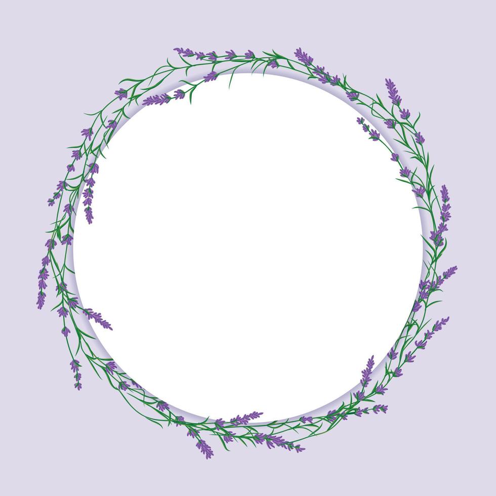 lavanda flor brunch en floración alrededor blanco circulo forma. tarjeta postal diseño Bosquejo vector