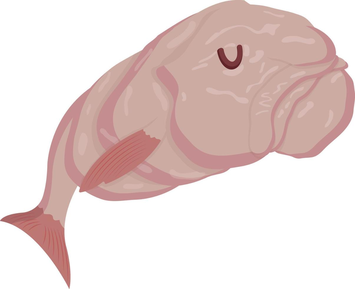 blobfish isolated on white background vector illustration