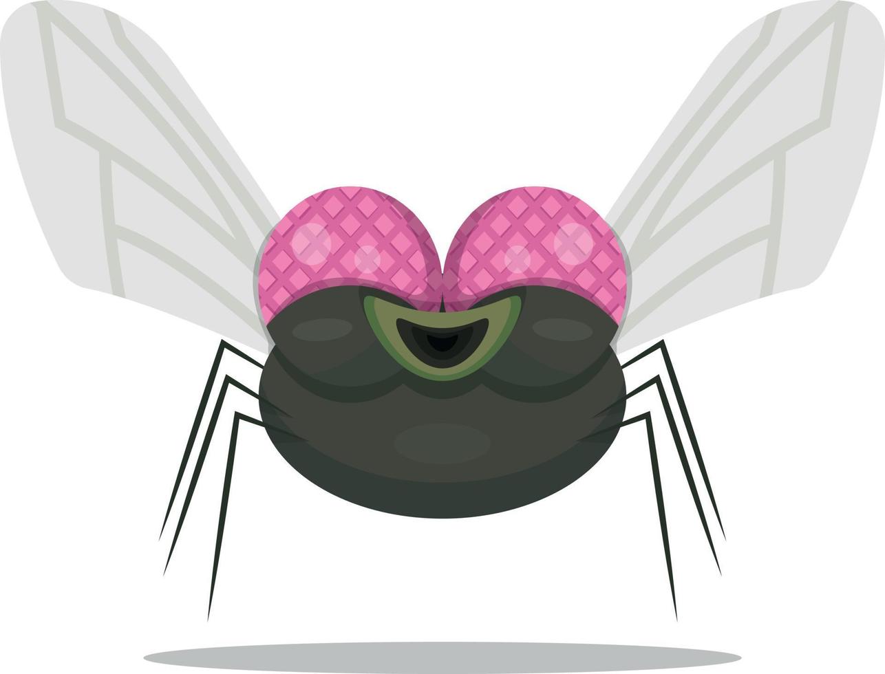 smiling cartoon fly vector illustration