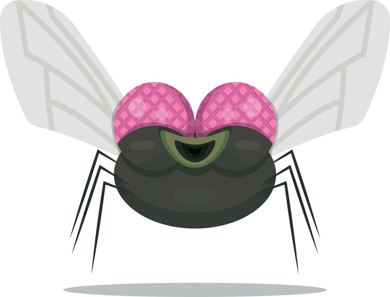 smiling cartoon fly vector illustration