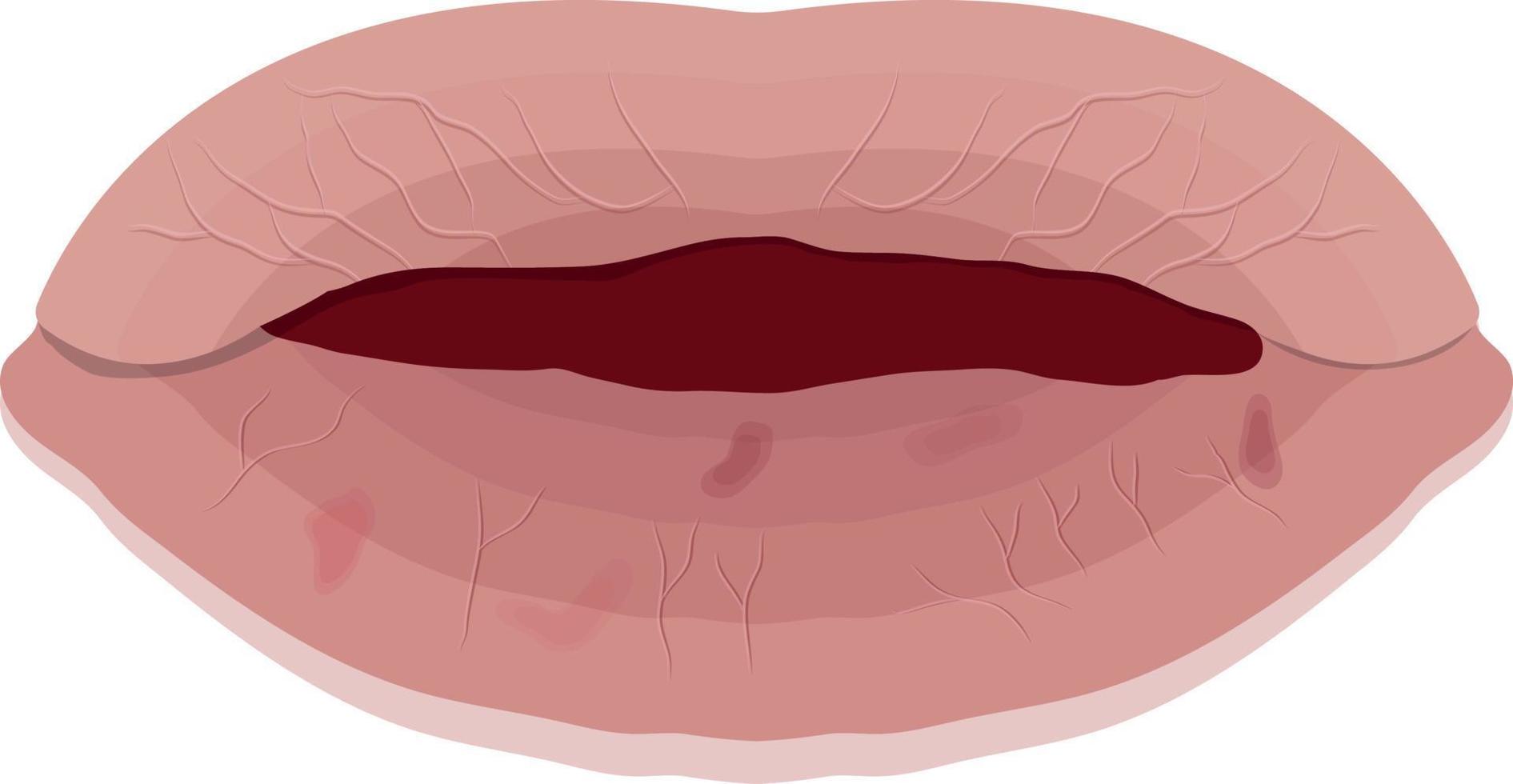 seco labios aislado en blanco antecedentes vector