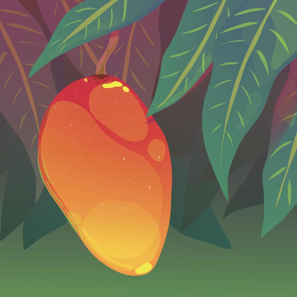 vector illustration of a mango hanging on a tree
