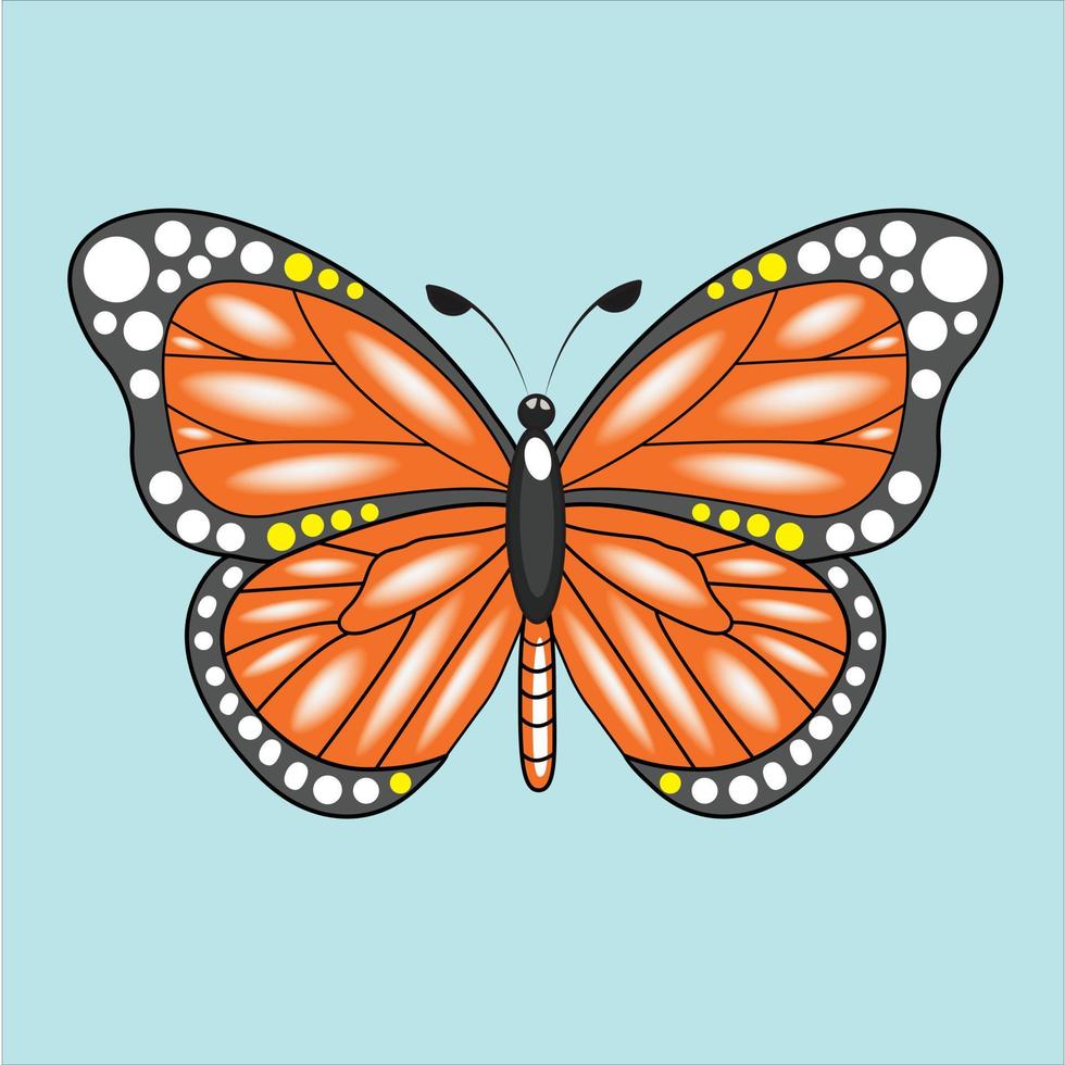 Monarch butterfly isolated vector