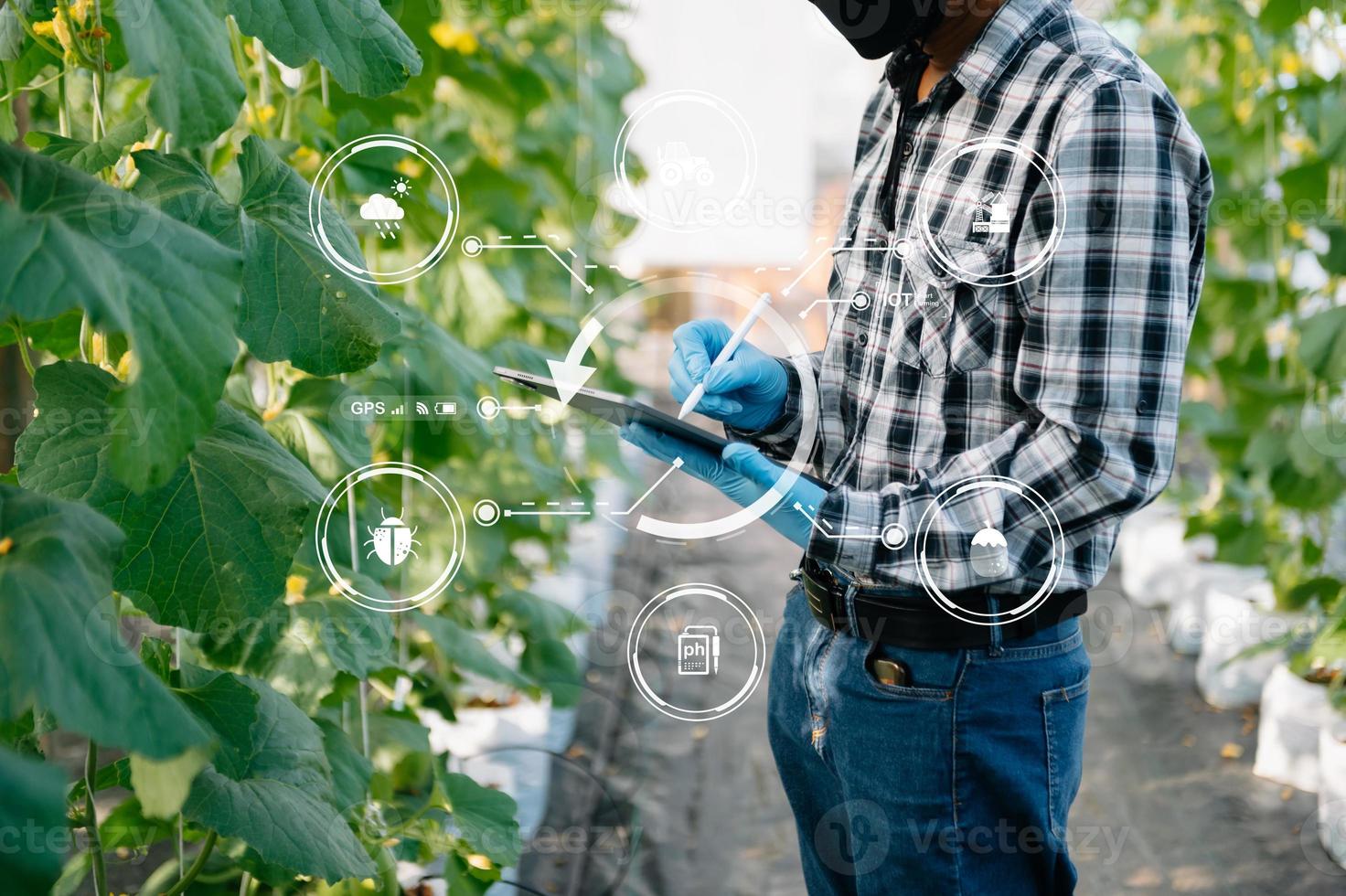 Smart farmer using application by tablet concepts modern vegetables and tomato at greenhouse. and visual icon. photo