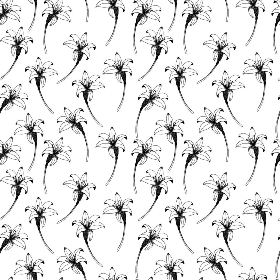 Daylily vector seamless pattern. Hand drawn flowers of day lily on white background. Design for wedding decor, wallpapers, curtains, textile, wrapping paper. Retro pattern.