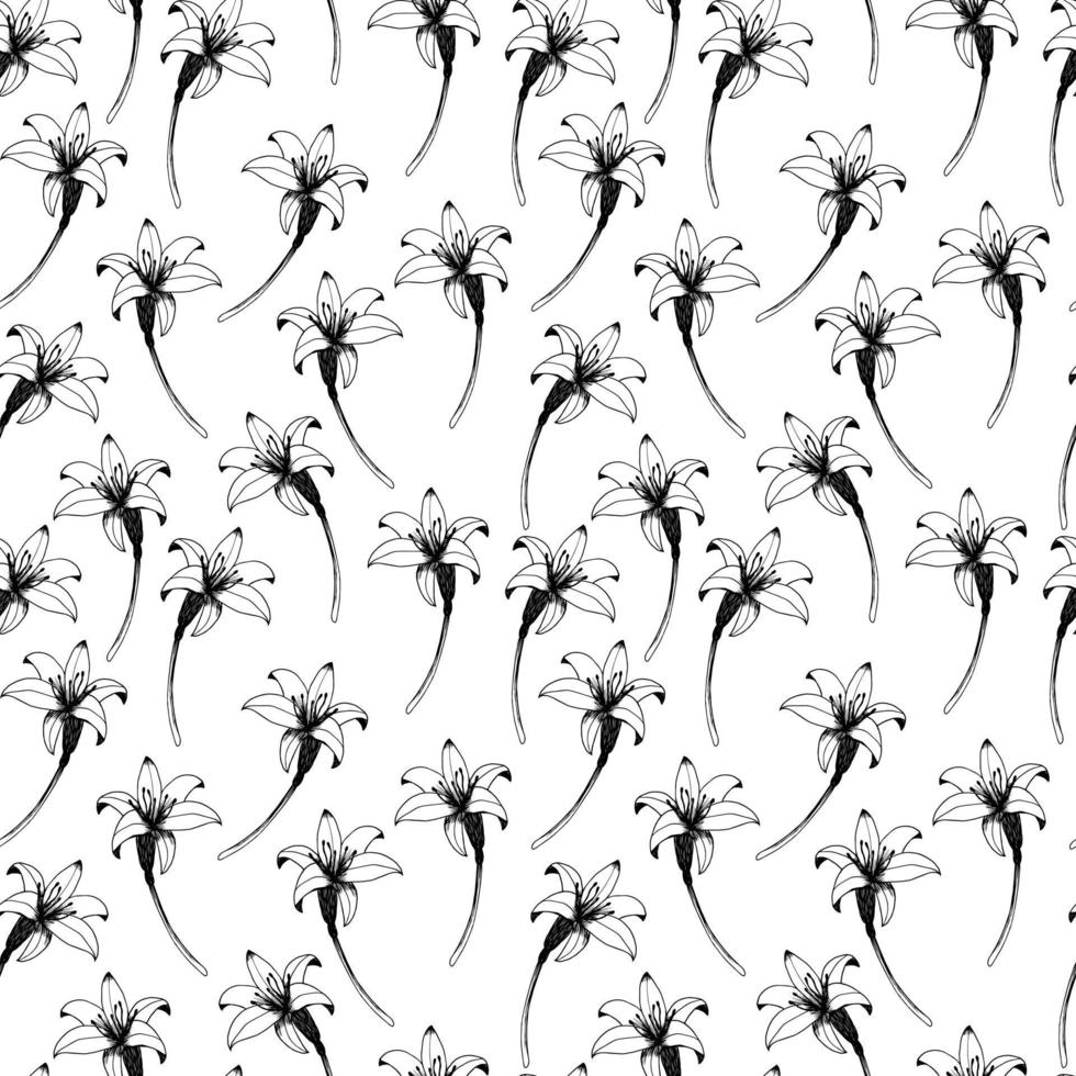 Daylily vector seamless pattern. Hand drawn flowers of day lily on white background. Design for wedding decor, wallpapers, curtains, textile, wrapping paper. Retro pattern.