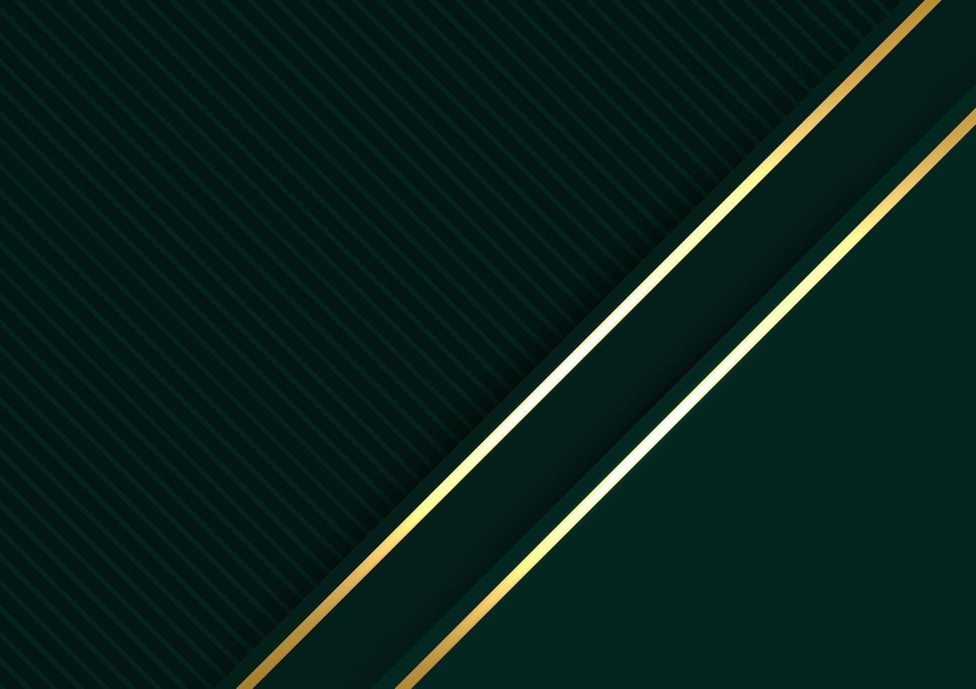 Banner luxury gold shiny line modern style decorating green background vector