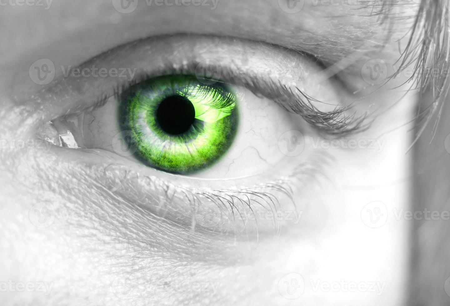 Mans green eye closeup photo