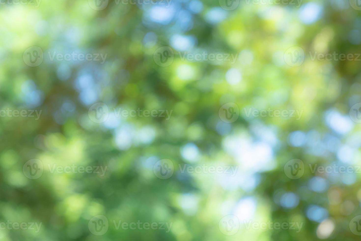 natural green bokeh abstract background,blurred textured photo