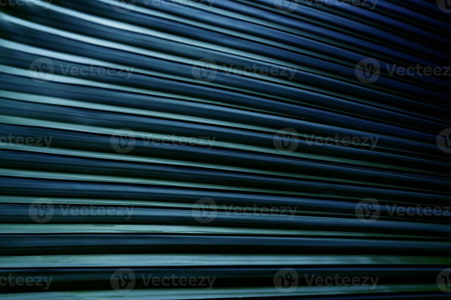 dark blue leaves texture,tropical leaf for nature background,leaf palm foliage tree,Abstract background photo