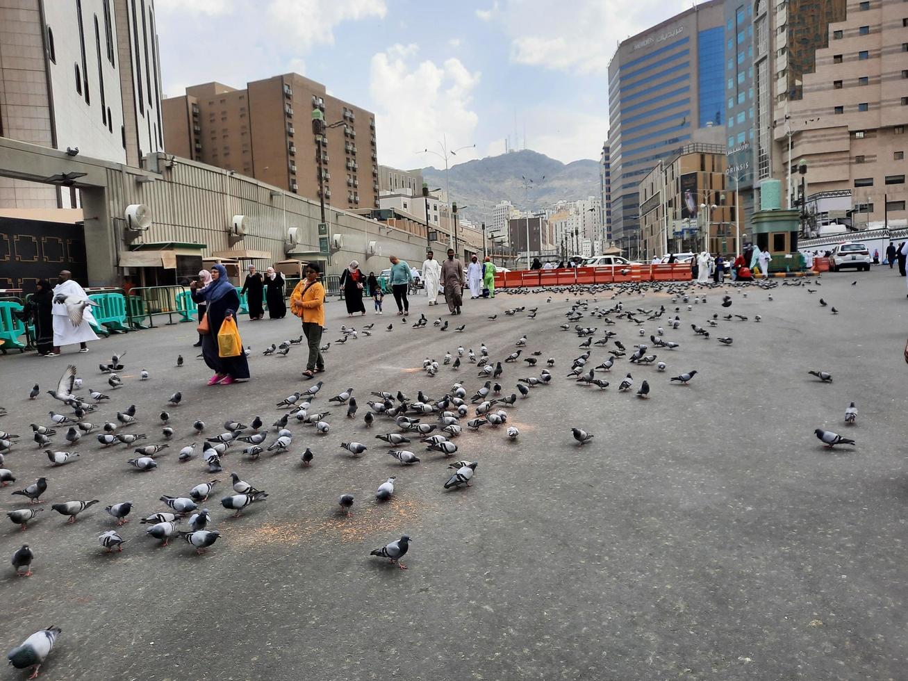 Mecca, Saudi Arabia, March 2023 - Pigeons in the outer courtyard of Masjid al-Haram, Mecca, Saudi Arabia eat grain offered by pilgrims. photo