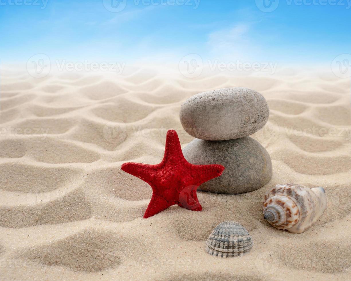 Starfish, shells, rocks lie on the sand against the sky. The concept of rest, sea, travel. photo