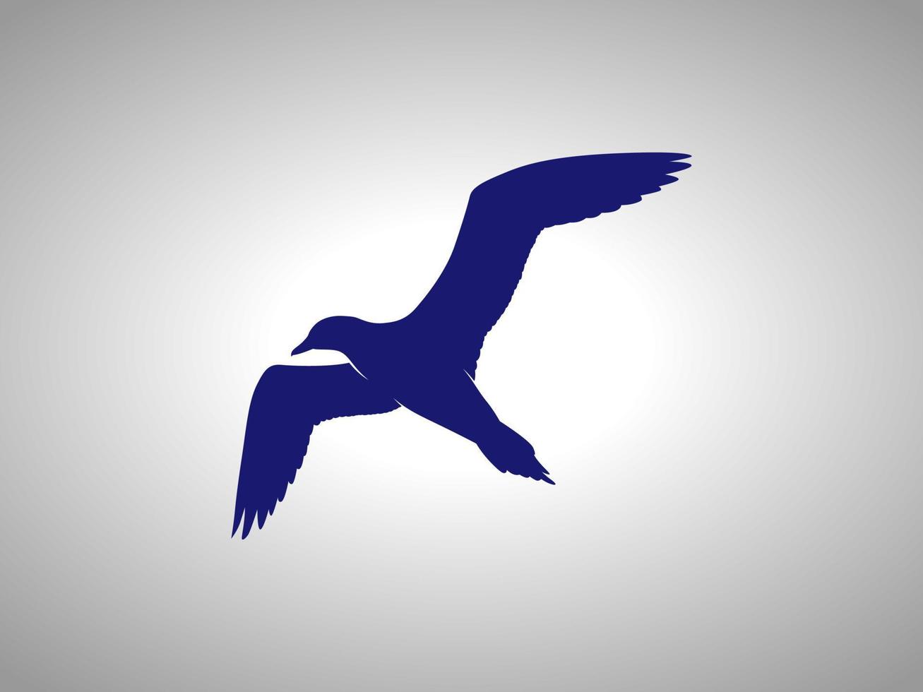 seagull Vector silhouette