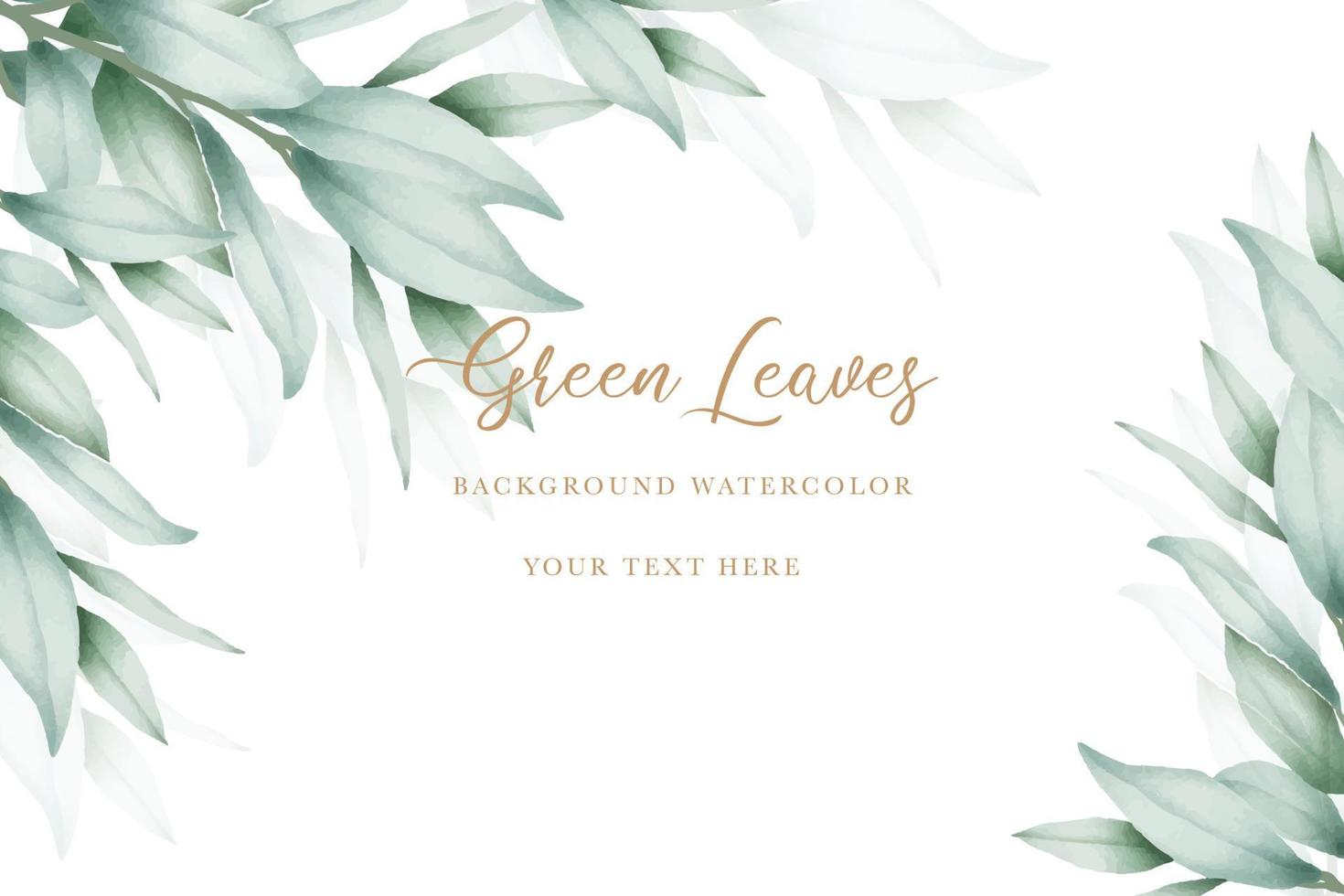 elegant eucalyptus leaves background design vector
