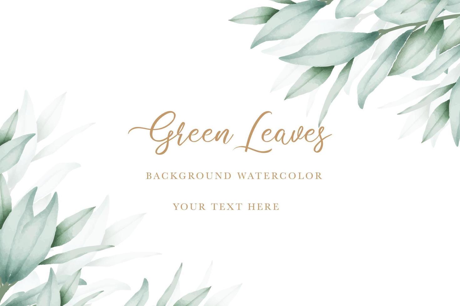 elegant eucalyptus leaves background design vector