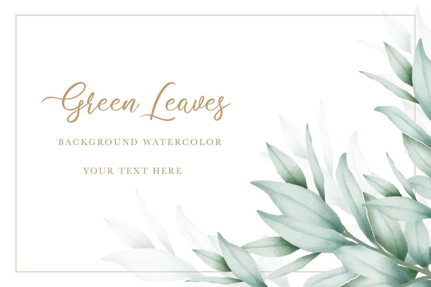 elegant eucalyptus leaves background design vector