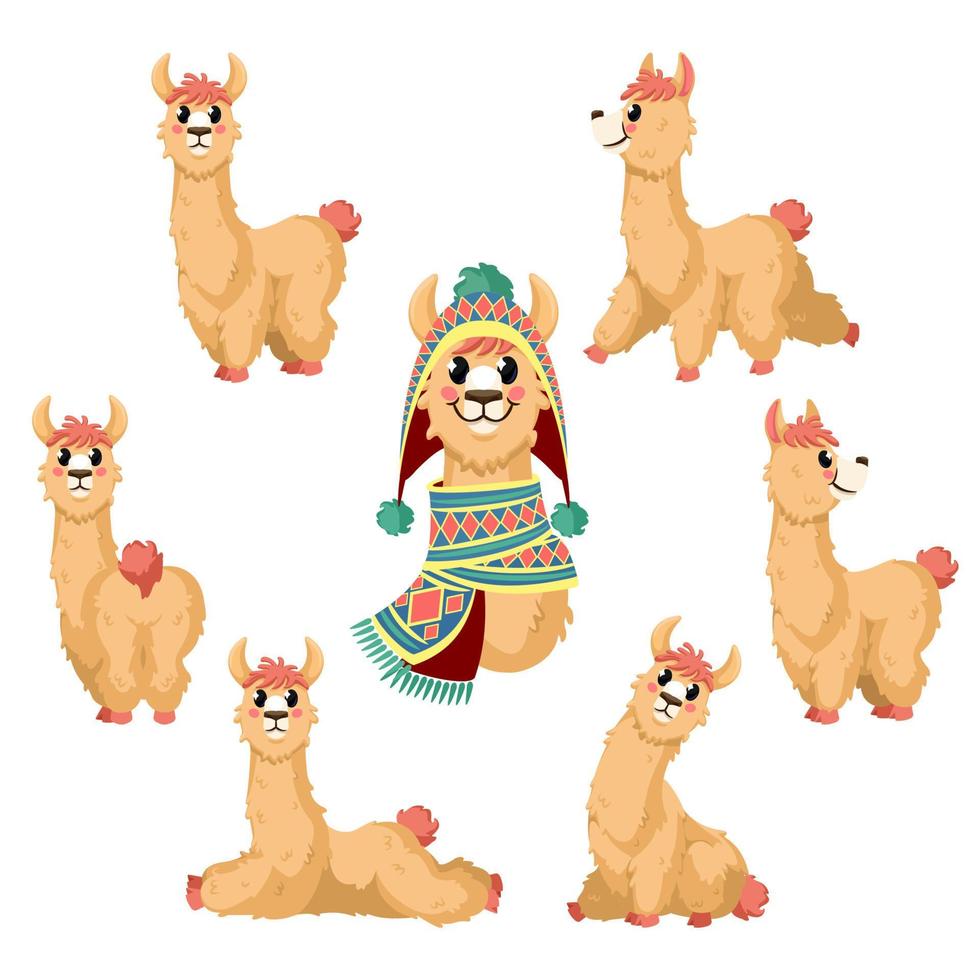 Llama. Cartoon alpaca, lama funny animal in various postures with chile or peru traditional clothes vector isolated characters