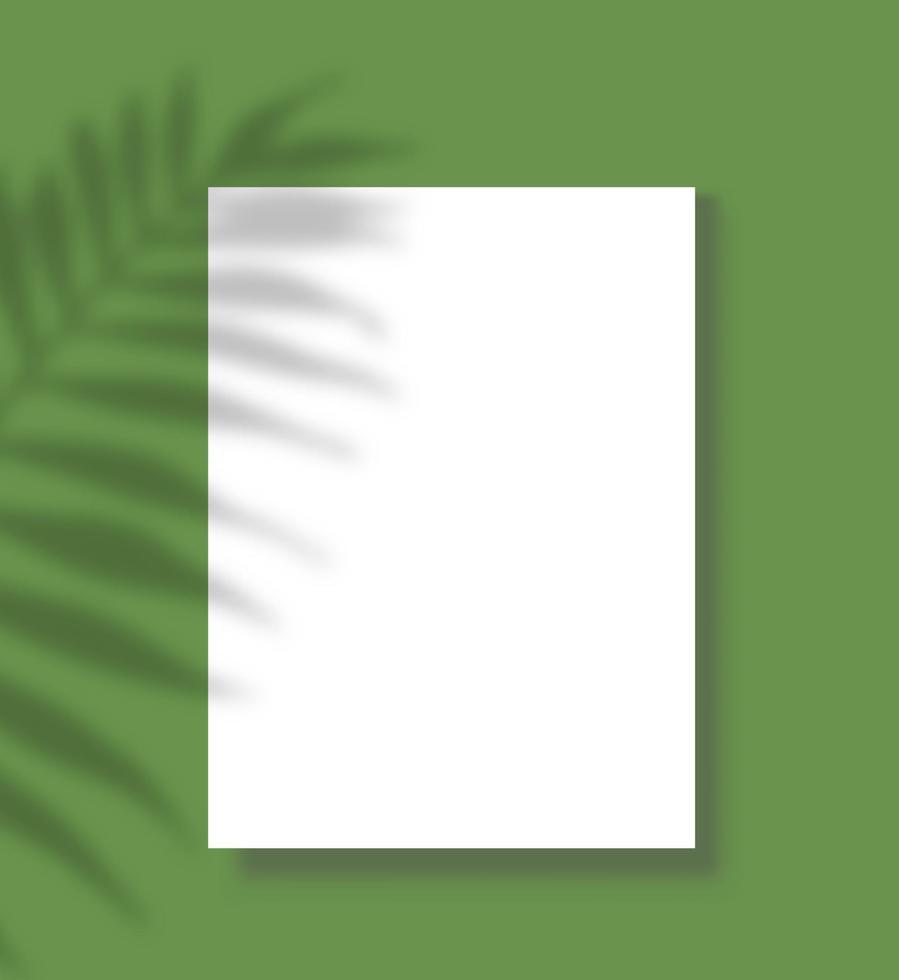 Poster with shadow. Blank paper sheet page with palm tree shadow overlay, white vertical canvas on wall. Presentation vector template