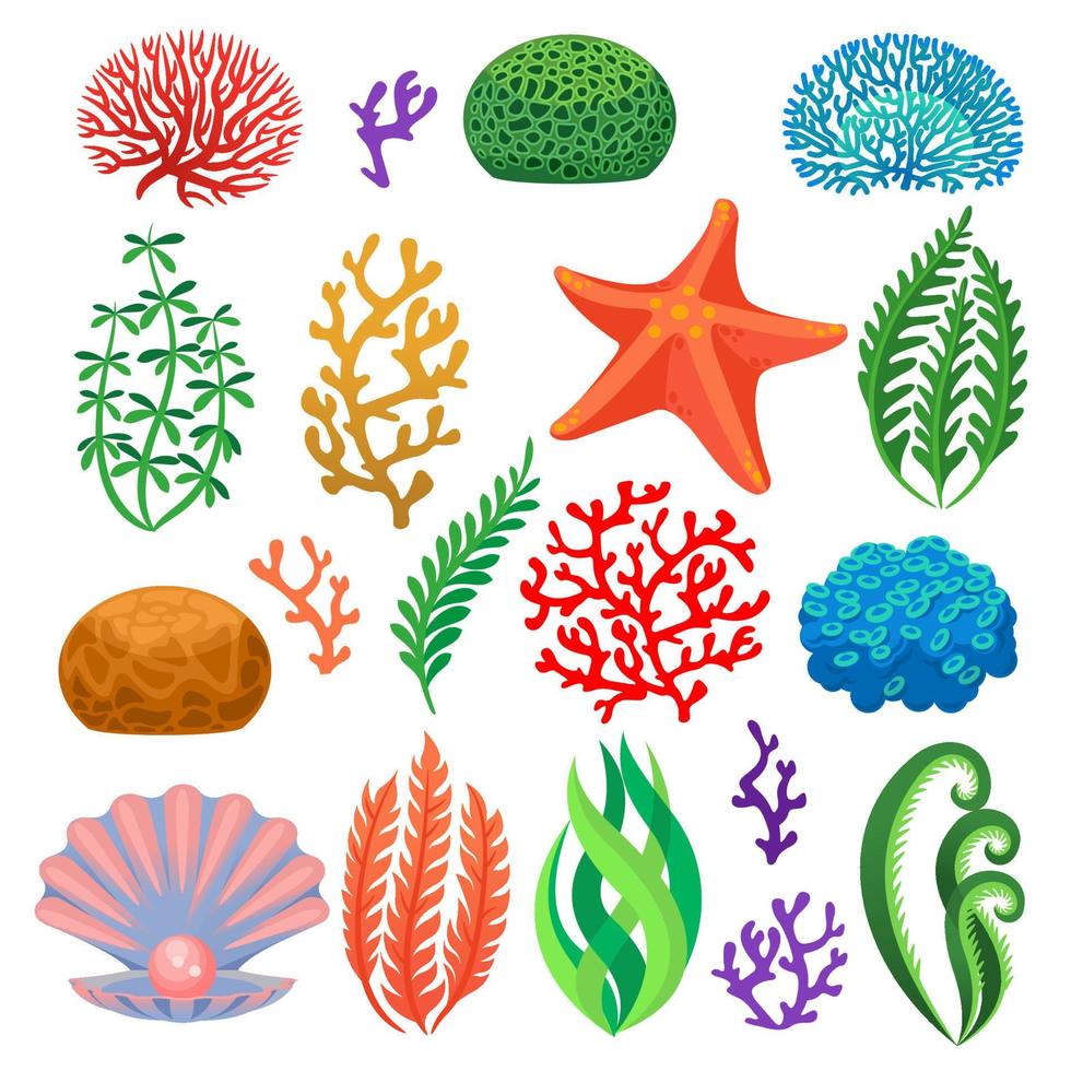 Seaweeds. Cartoon colorful underwater reef corals, plants. Aquarium, ocean and undersea flora, starfish and shell isolated vector set