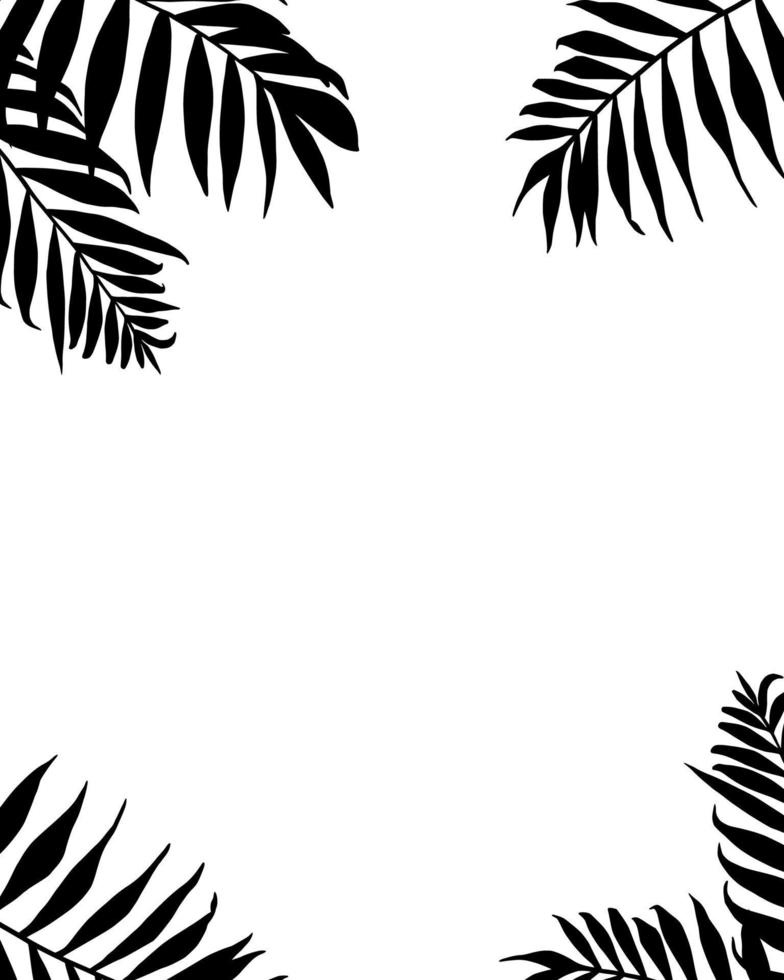 Palm leaves frame. Tropic plants branches silhouettes black borders. Isolated vector banner, background wedding invitation template