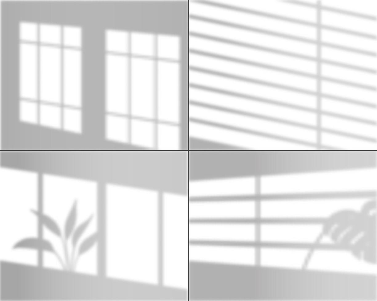 Window shadows. Realistic light overlay wall shade with tropical monstera plants grey shows effect interior elements vector set